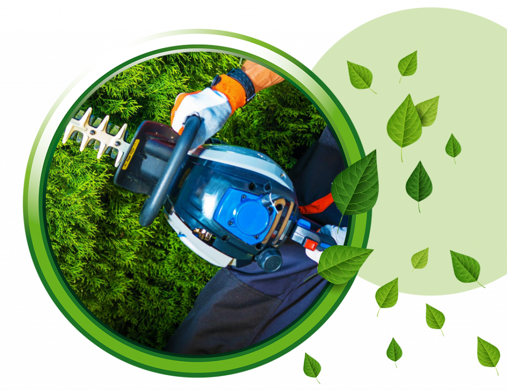 Gardening & Grounds Maintenance Haley's Services Ltd